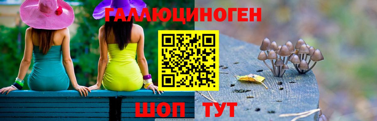 купить наркотики цена  Вход с VPN  Россия  Псилоцибиновые грибы мицелий 